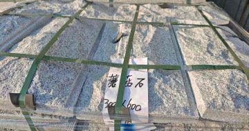 海口芝麻白蘑菇石，自然面